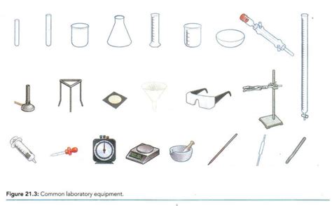 Laboratory Items 的图像结果