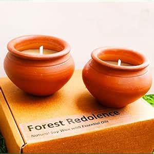 Forest Redolence - Scented Soy Earthen Pot(Matki) Candles with ...