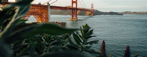 San Francisco Concert Calendar & Tickets 2026 | SeatGeek