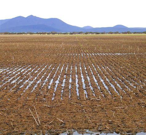 Image result for Natural Compaction