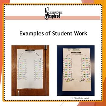 Image result for How to Make DNA Complementary Strands