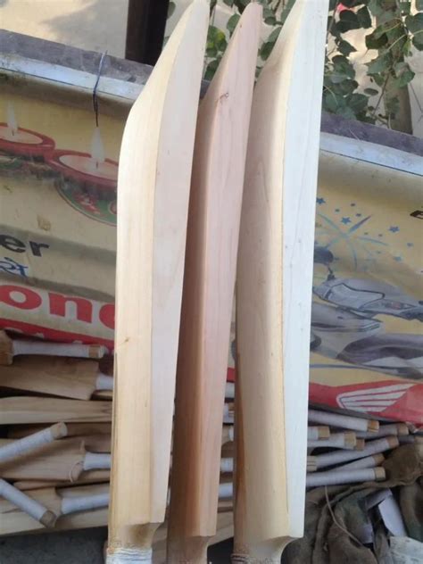 Tennis Bat 的图像结果