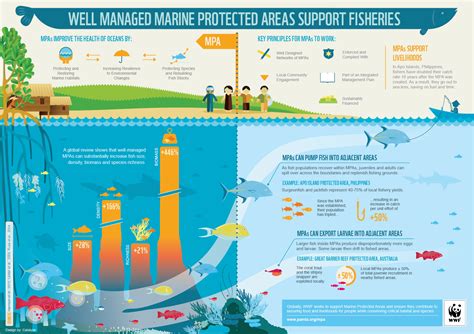 INFOGRAPHIC: How well managed marine protected areas support fisheries ...