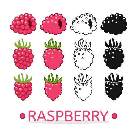 Image result for Raspberry Drawing Vector