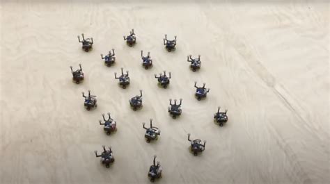 Image result for Boids Algorithm Python