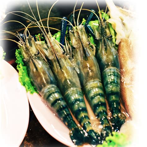 ContinentalSeaFoods - Buyer Partner for seafoods from Indian Subcontinent