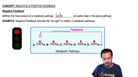 Image result for 4 Components of a Negative Feedback