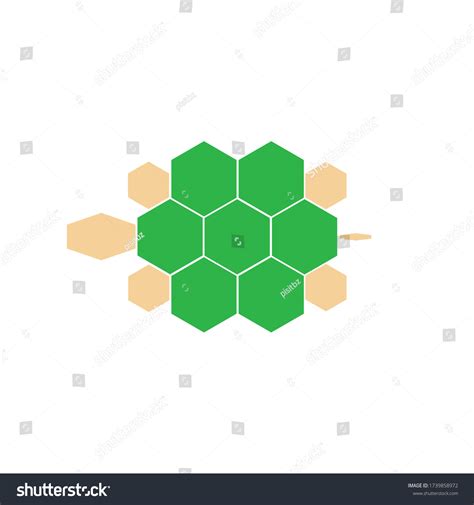 Image result for Hexagonal Structure Animals