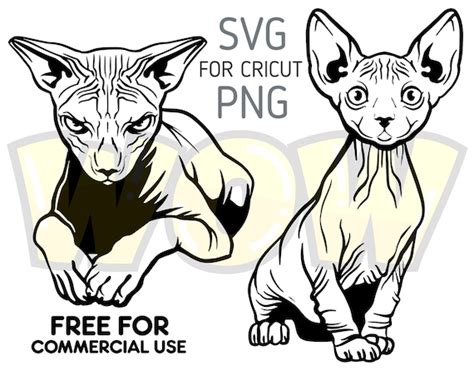 Cute Sphynx Cat Svg for Cricut Cat Cut File Digital - Etsy India