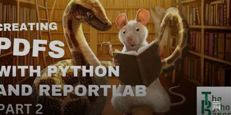 Image result for Python ReportLab Examples