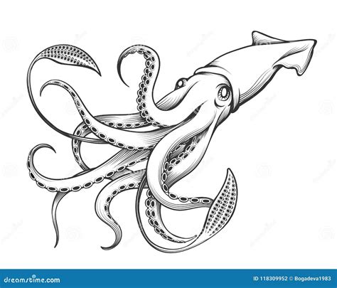 Giant Squid Tentacles Drawing