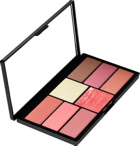 SWISS BEAUTY 8 in 1 Multi-Color Matte Blusher and Highlighting Palette ...