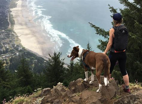 Oregon Coast Trail Thru-Hiking Guide: What to Know Before You Go