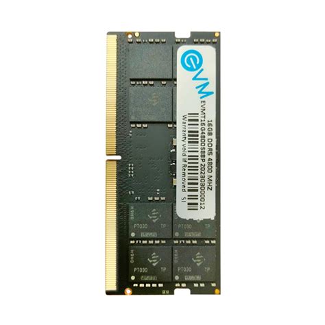 Amazon.in: Buy EVM 16GB DDR5 Laptop RAM 4800Mhz SoDimm - High ...