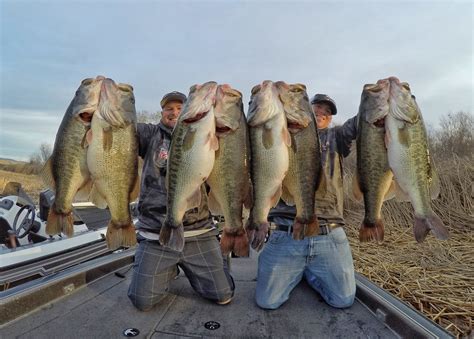 10 Lb'ers — Tactical Bassin' - Bass Fishing Blog