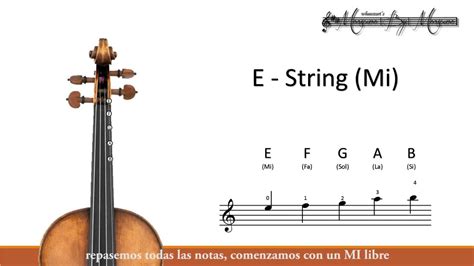 Image result for Violin Notes with Strings