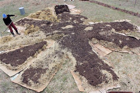 Lasagna Gardening: Here?s How To Grow Organic Vegetables  