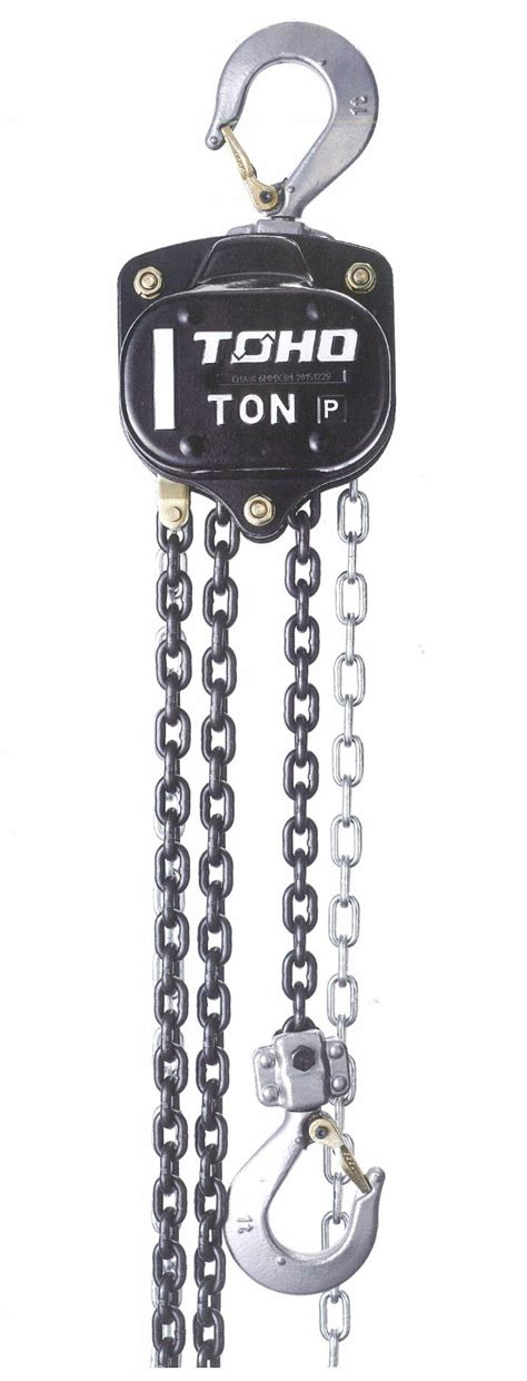 Buy TOHO HSZ-622A Chain Block Hoist (1 Ton, 10 Ft. Chain) Online at ...