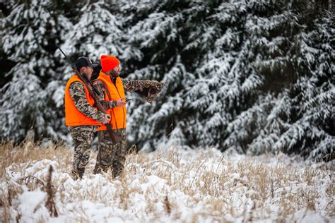 When Is Minnesota Deer Season 2024? | HuntWise