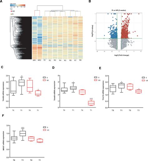 Image result for Python Heatmap RNA-Seq