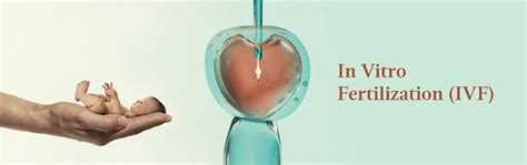 In Vitro Fertilization (IVF) Process, Cost, Risks, Advantages and ...