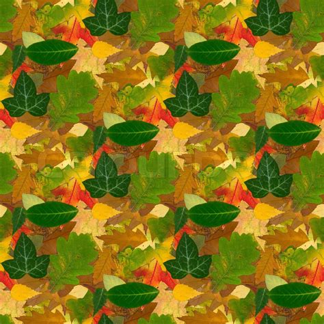 Image result for Fall Pattern Seamless Texture