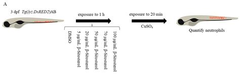 Anti-Inflammatory and Antioxidant Properties of β-Sitosterol in Copper ...