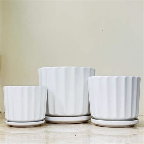 Set of 3 White Ribbed Ceramic Pots | Classic Indoor Planters with ...