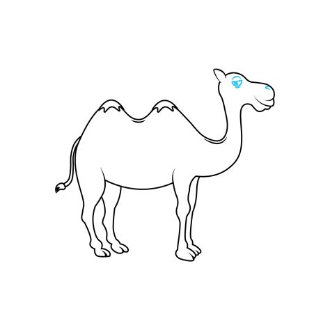 How to Draw A Camel Step by Step