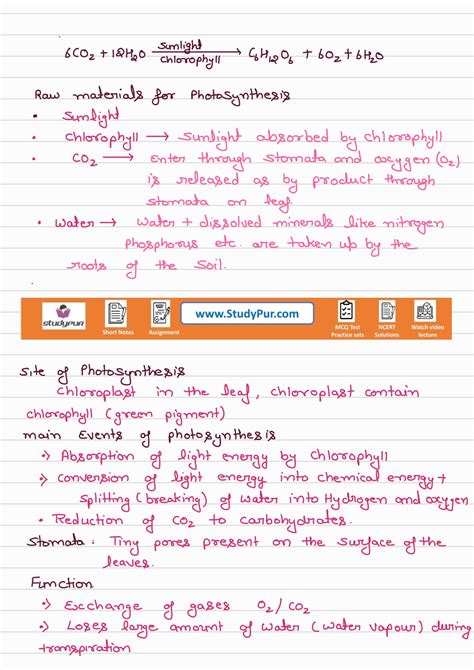 Life Process Class 10 CBSE 的图像结果