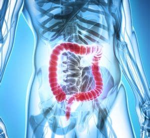 Image result for Micro Matrix Flex