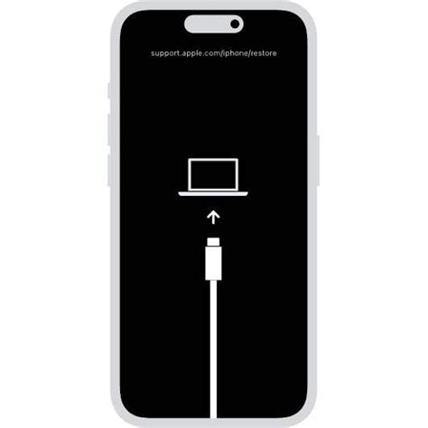 Fix iOS 26 Camera Issues: Black Screen, App Crashes & Missing Icon-Dr.Fone