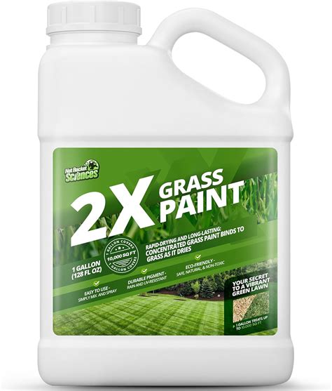 Amazon.com : 2X Green Grass Paint for Lawn, Ideal Turf Paint for Grass ...