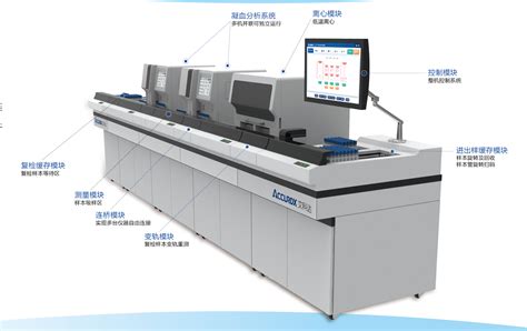 10-20L全自动包装流水线（双线并联）-江苏尚纯自动化技术有限公司