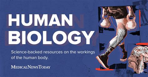 Basic Human Biology 的图像结果