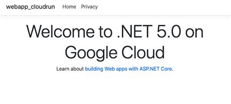 Image result for Google.com .Net
