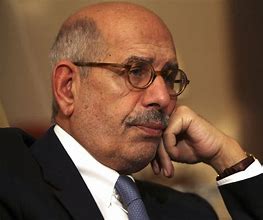 Image result for ElBaradei