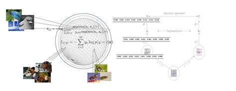 Image result for Pytorch Code Contrastive Learning