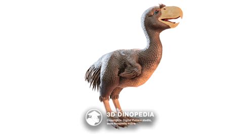 Image result for Extinct Bricks Phorusrhacos