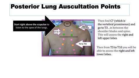 Auscultation of lungs and heart | PPTX