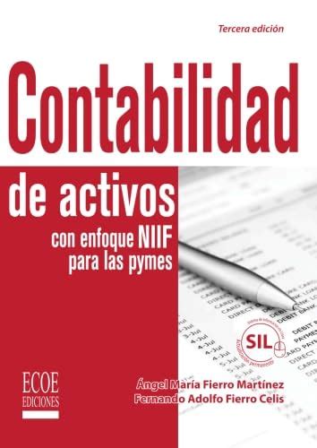 Buy Contabilidad de activos con enfoque Niif para las pymes (Spanish ...