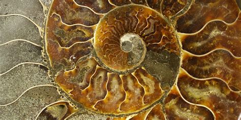 Image result for Drupal Posts