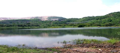 Contract Worker Management