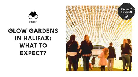Understanding Halifax’s Population Statistics and Shifts