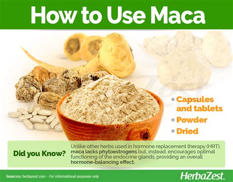 Image result for MACA