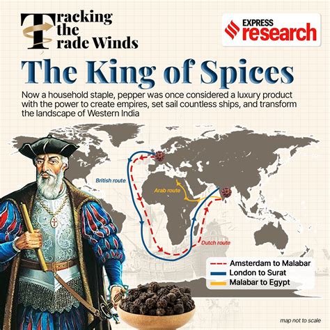 Pepper: The magic spice from Kerala that triggered global trade ...
