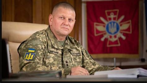 乌军总司令扎卢日内没死，但也干不了司令了_军事频道_中华网