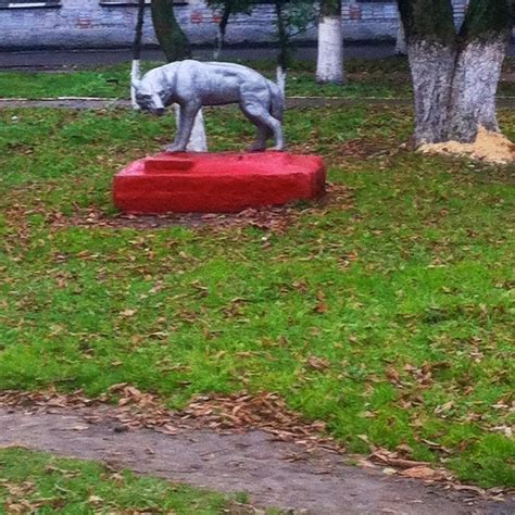 CENTRAL PARK (2025) All You Need to Know BEFORE You Go (with Photos ...