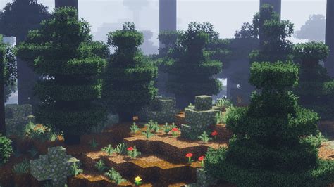 Image result for Shaders with Animations Minecraft Java