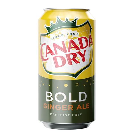 Canada Dry Bold Ginger Ale Can 440ml - 3D Model by murtazaboyraz